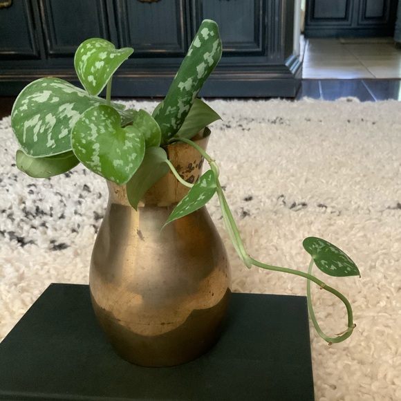 ✨SOLD✨Vintage Solid Brass Vase - Picture 3 of 5